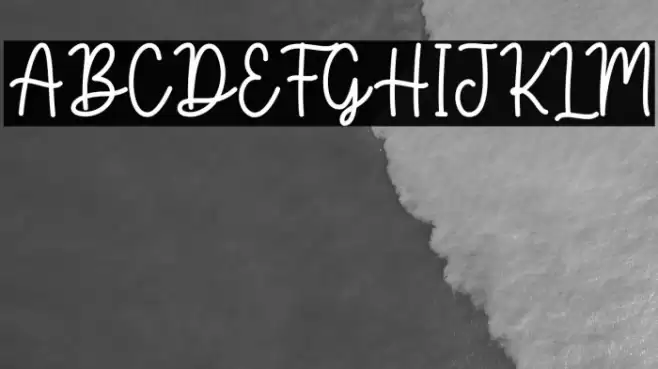 Birgitta Font examples