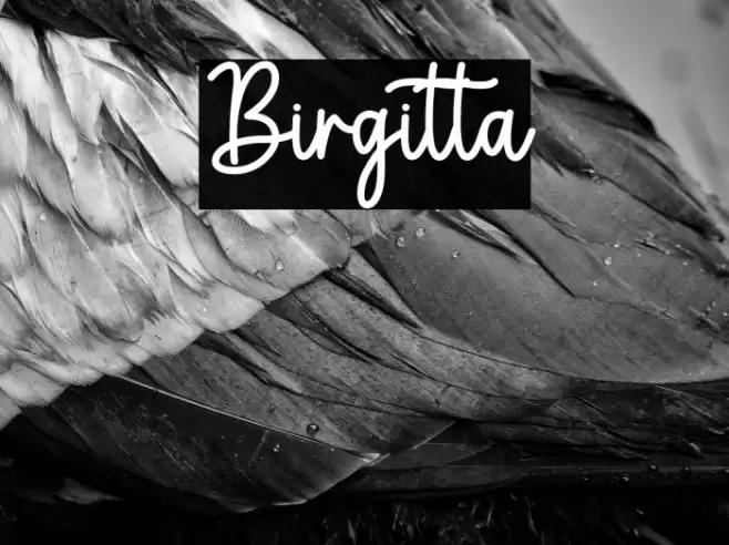 Birgitta Font examples