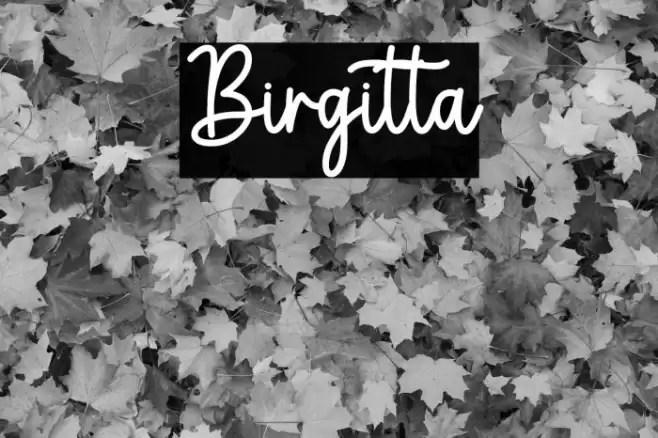 Birgitta Font examples