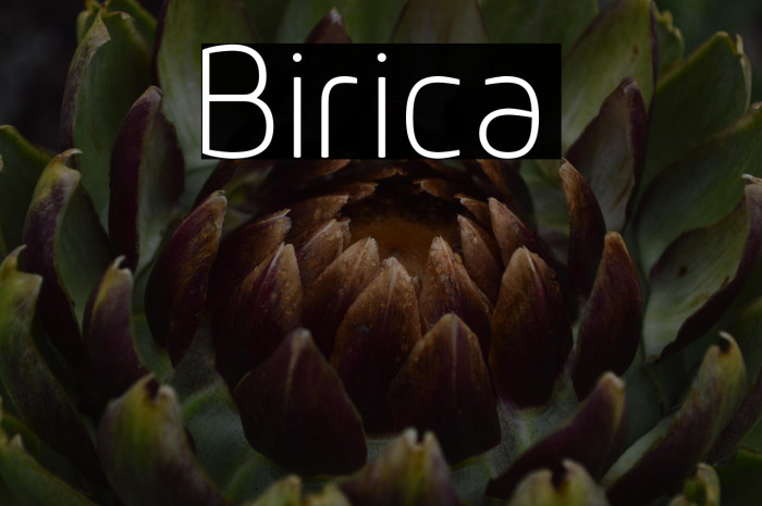 Birica Example 3