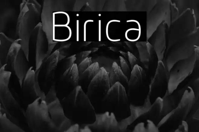 Birica Font examples