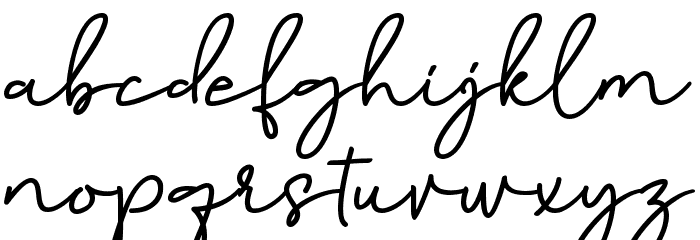 Birmingham Signature Font LOWERCASE