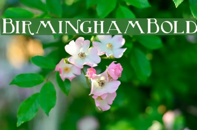 BirminghamBold Example 1