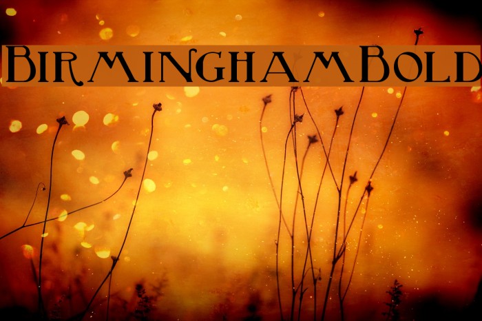 BirminghamBold Font examples