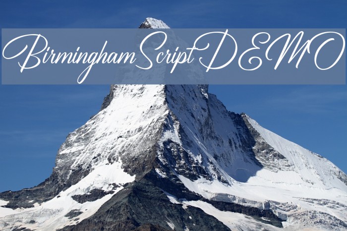 BirminghamScriptDEMO Font examples