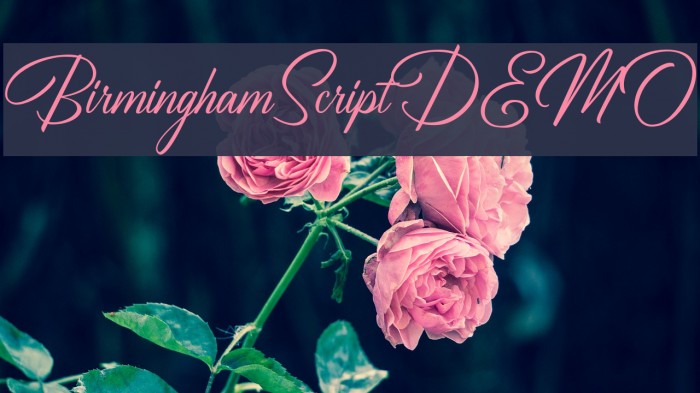 BirminghamScriptDEMO Font examples