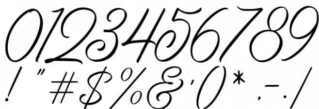 BirminghamScriptDemo Font OTHER CHARS