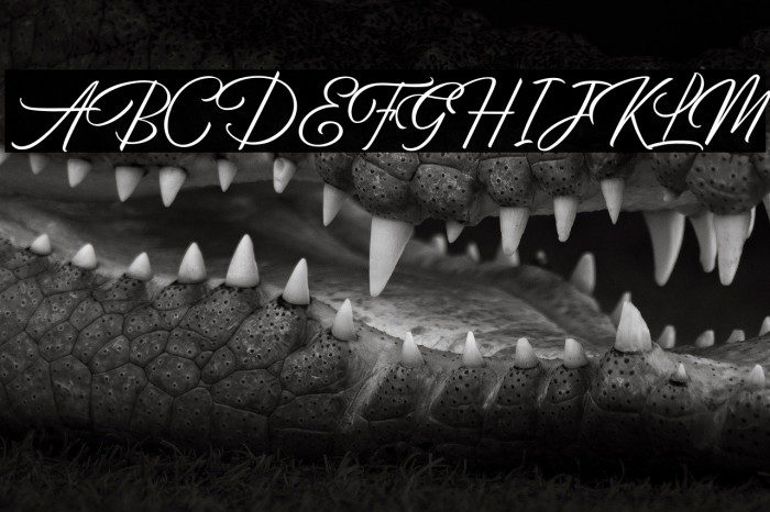 BirminghamScriptDemo Example 1