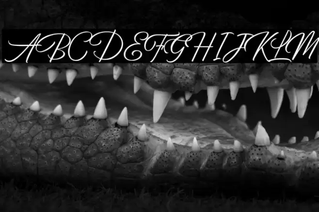 BirminghamScriptDemo Font examples