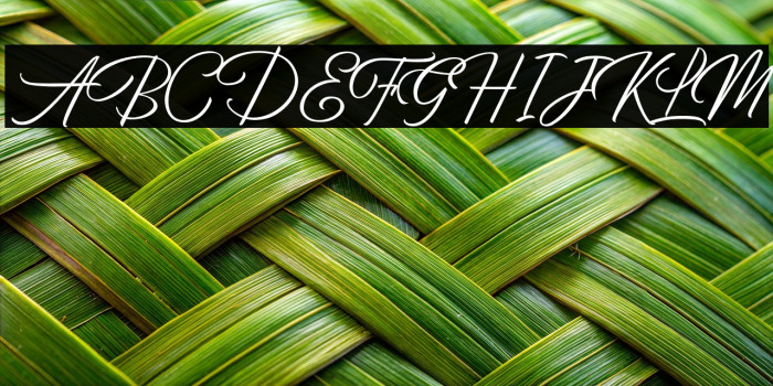 BirminghamScriptDemo Example 2