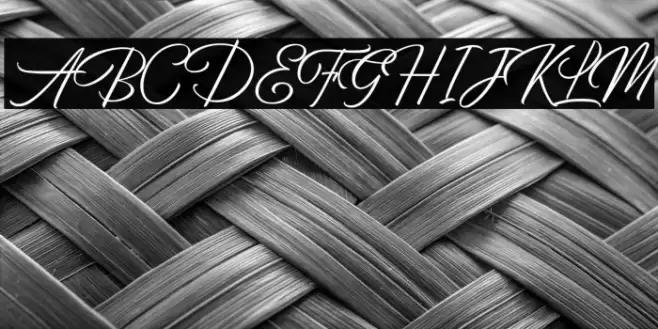 BirminghamScriptDemo Font examples