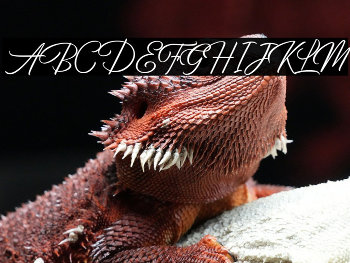 BirminghamScriptDemo Example 3