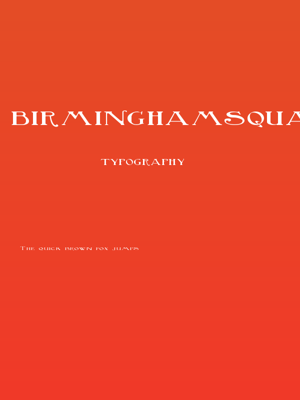 BirminghamSquat Poster