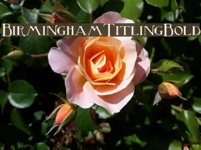 BirminghamTitlingBold Example 1