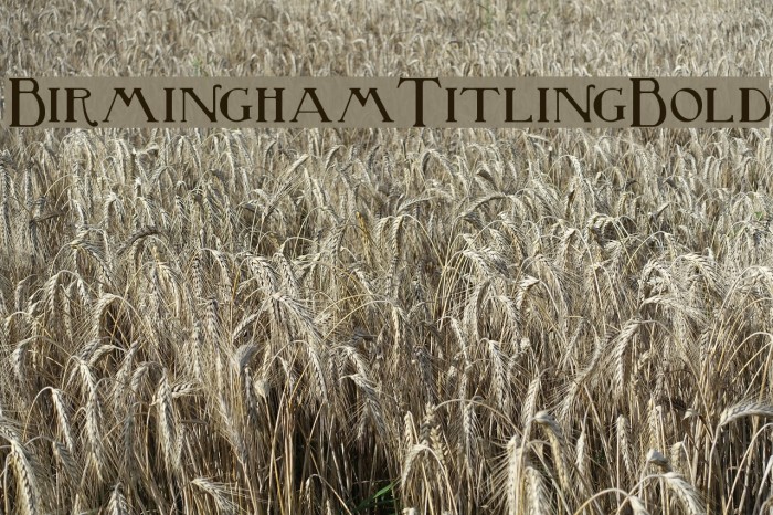 BirminghamTitlingBold Font examples