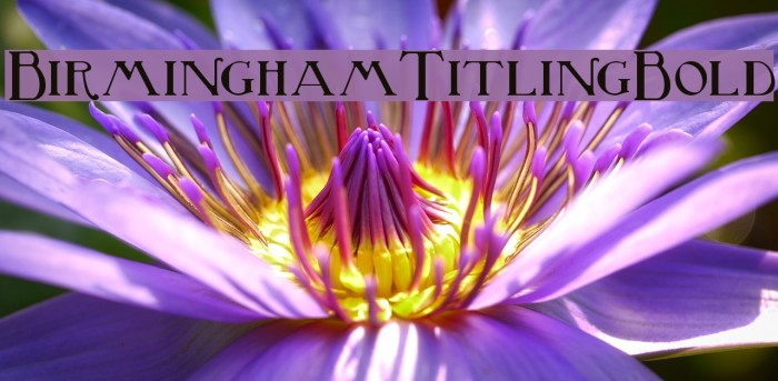 BirminghamTitlingBold Font examples