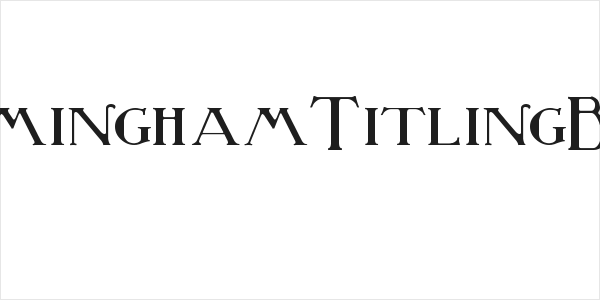 BirminghamTitlingBold Logo