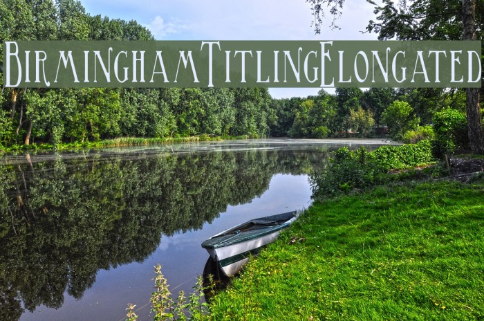 BirminghamTitlingElongated Font examples