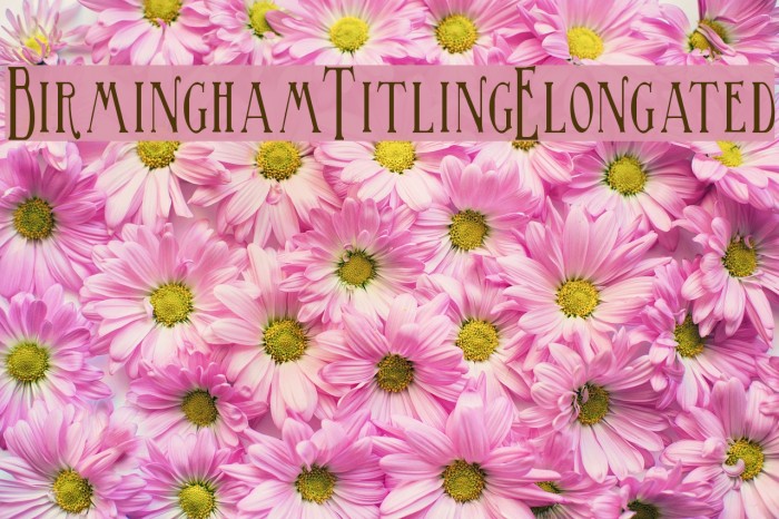 BirminghamTitlingElongated Font examples