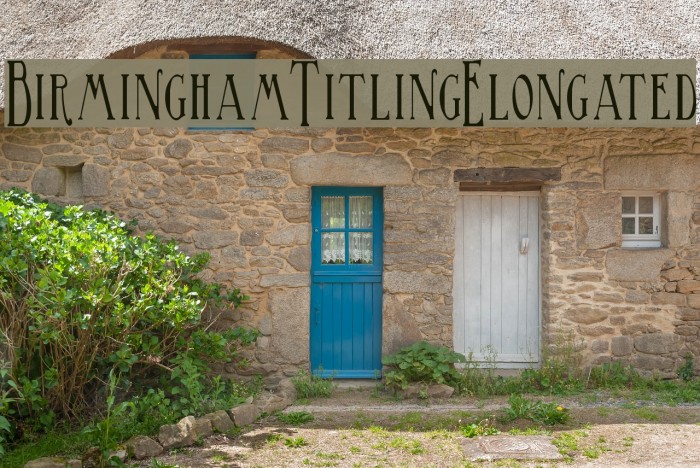 BirminghamTitlingElongated Font examples