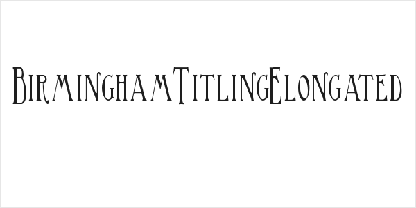 BirminghamTitlingElongated Logo