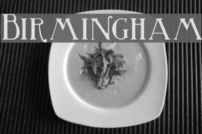 Birmingham Polices examples