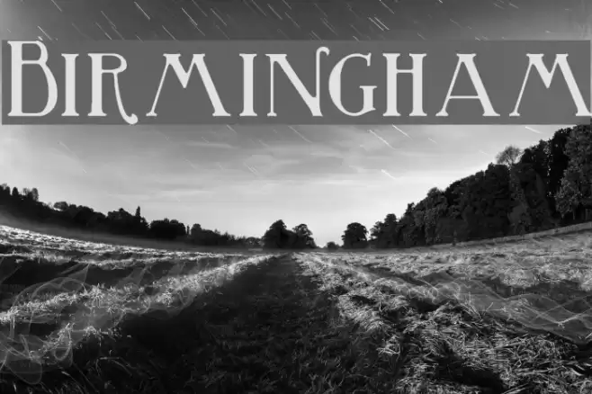 Birmingham Polices examples