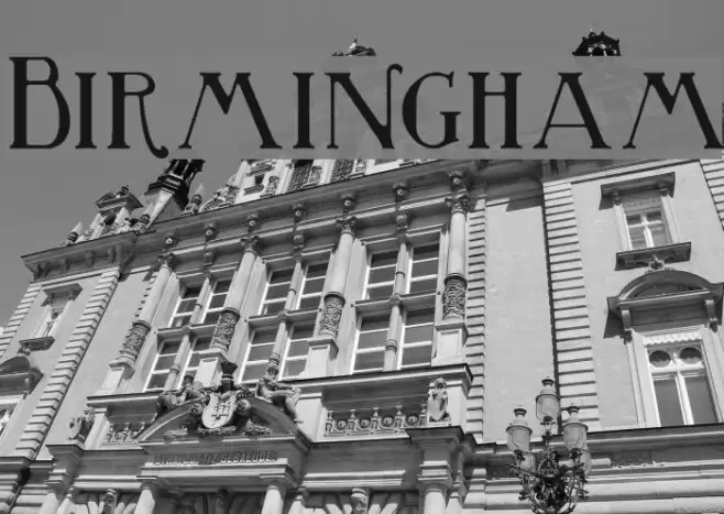 Birmingham Polices examples