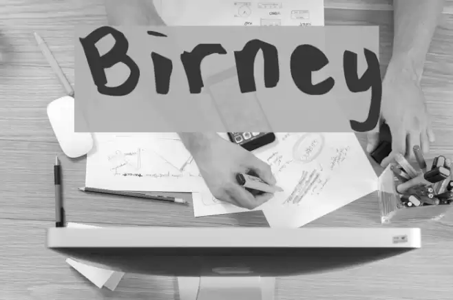 Birney Font examples