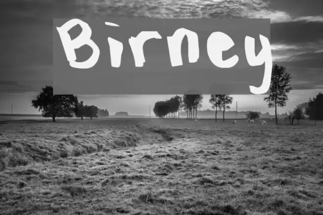 Birney Font examples