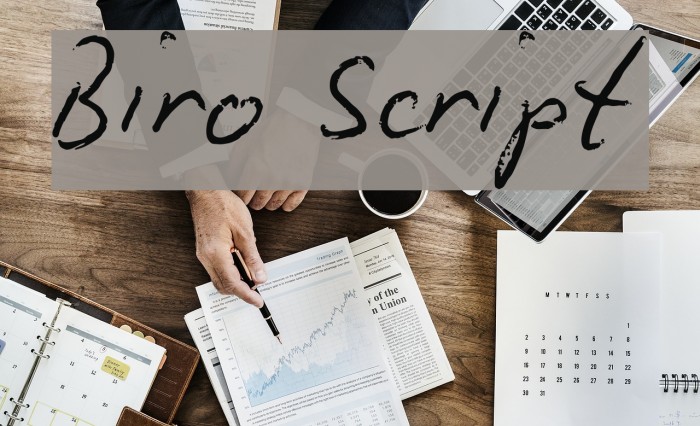 Biro Script Font examples