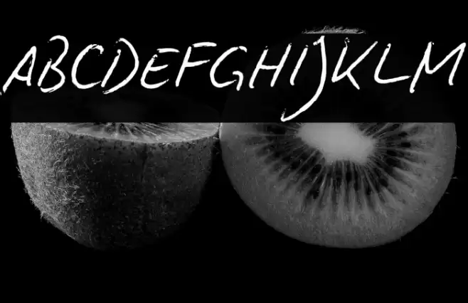 BiroScriptreduced Font examples