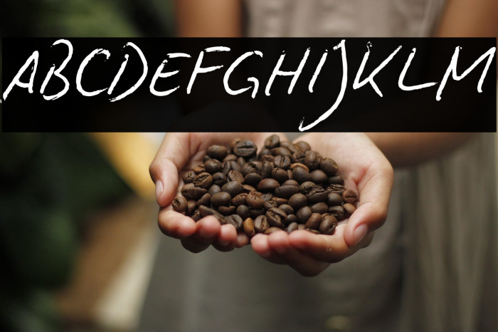 BiroScriptreduced Example 2