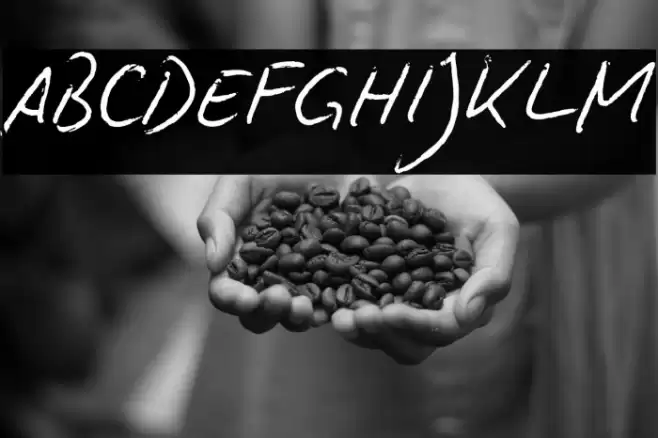 BiroScriptreduced Font examples