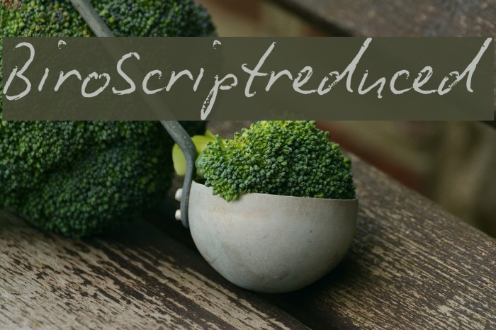BiroScriptreduced Font examples
