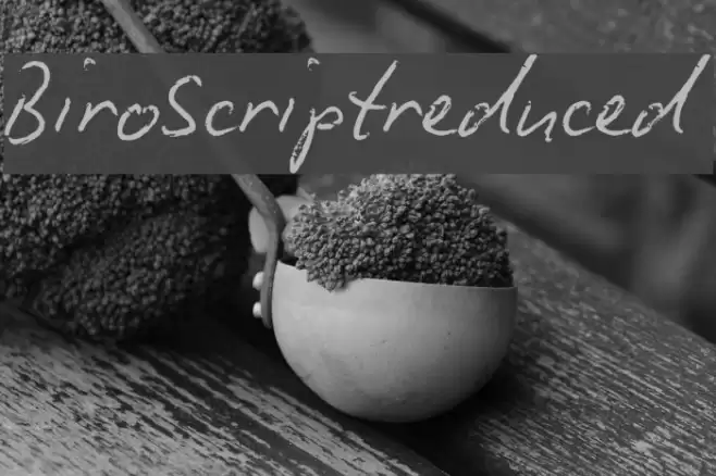 BiroScriptreduced Font examples