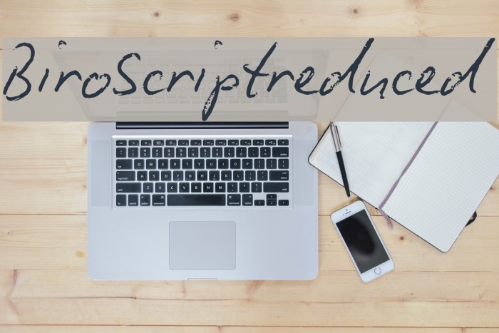 BiroScriptreduced Font examples