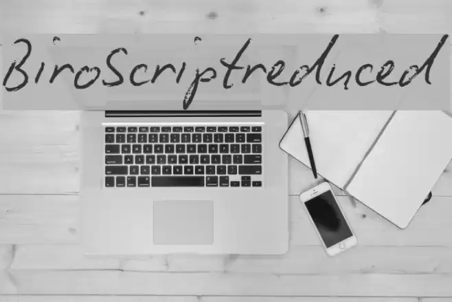 BiroScriptreduced Font examples
