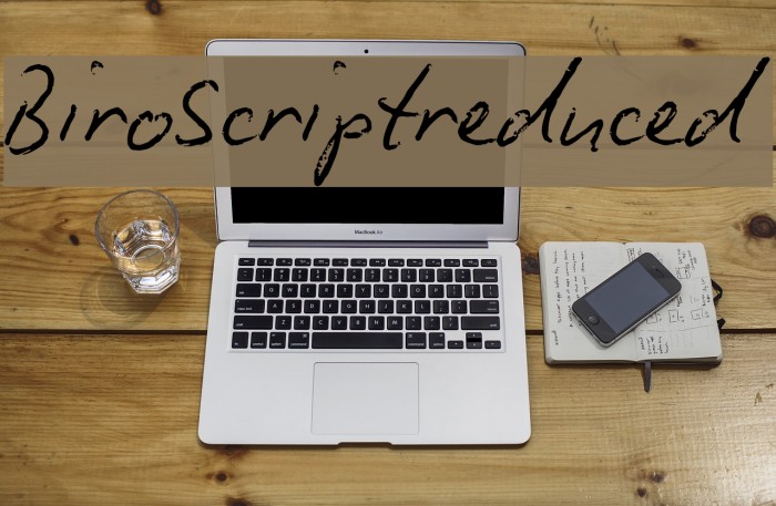 BiroScriptreduced Font examples