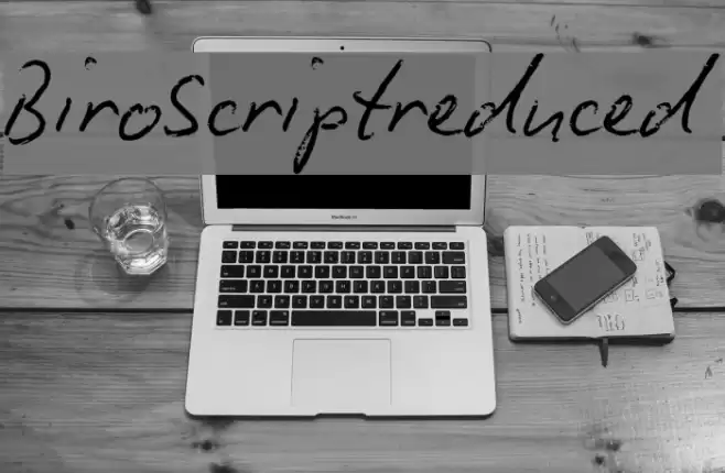 BiroScriptreduced Font examples