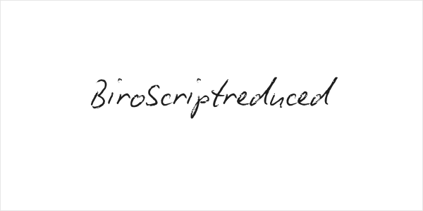BiroScriptreduced Logo
