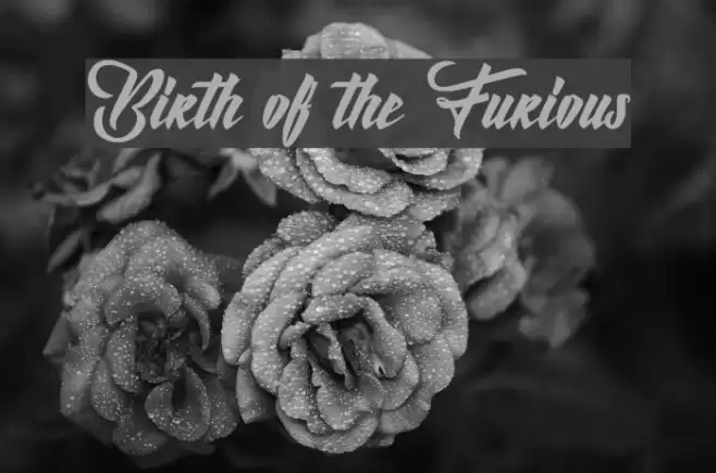 Birth of the Furious Font examples