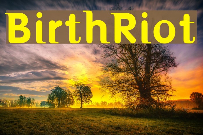 BirthRiot Font examples
