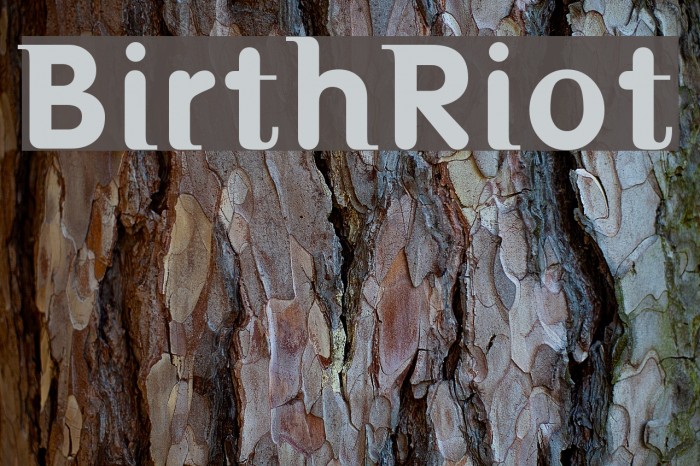 BirthRiot Font examples
