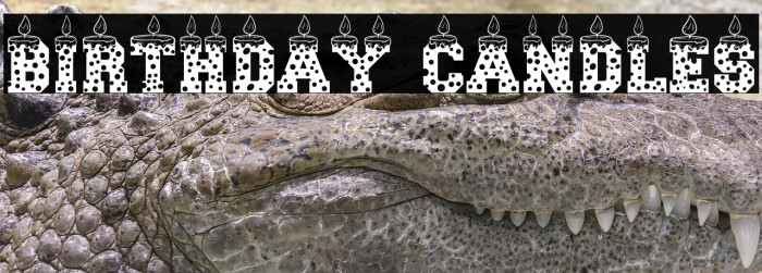 Birthday Candles Example 3