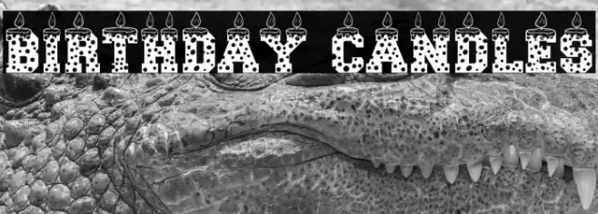 Birthday Candles Caratteri examples