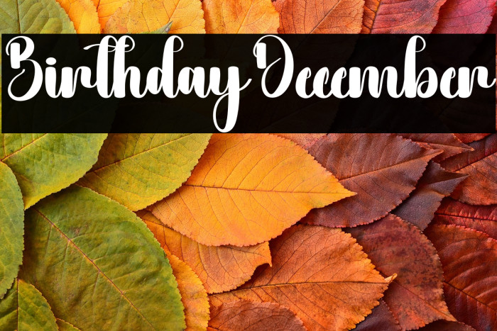 Birthday December Example 1