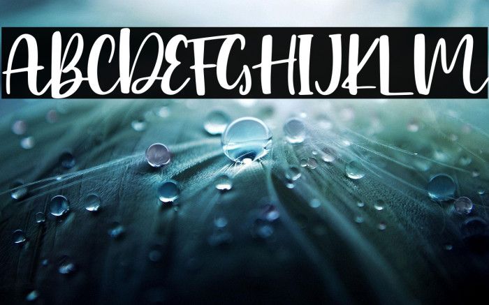 Birthday Dream - Personal Use Example 3