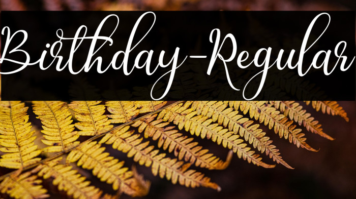 Birthday-Regular Example 1