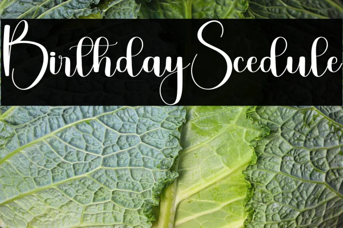Birthday Scedule Example 1